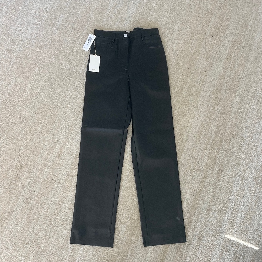 Aritzia Leather Pants (Melina Wilfred)